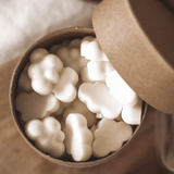 Cloud Wax Melts